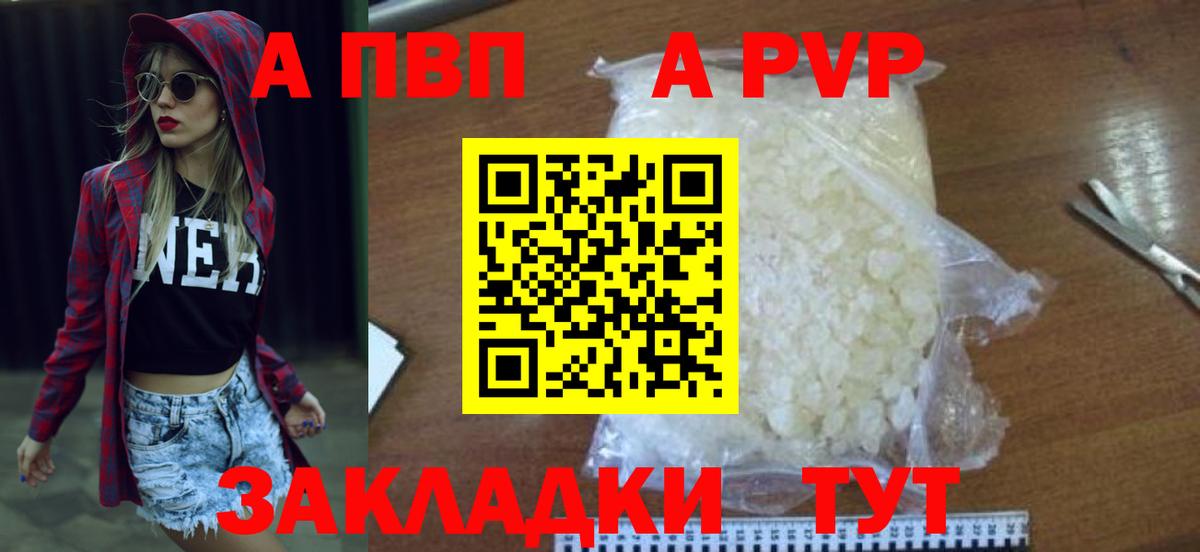 Альфа ПВП СК Туапсе