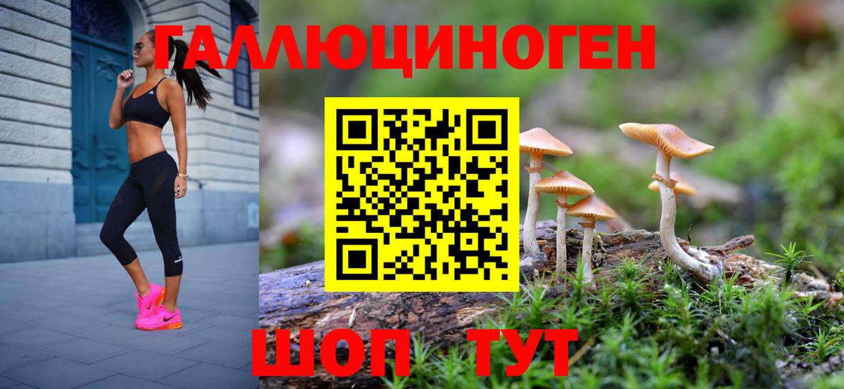 Псилоцибиновые грибы GOLDEN TEACHER  Вход с VPN  Туапсе 